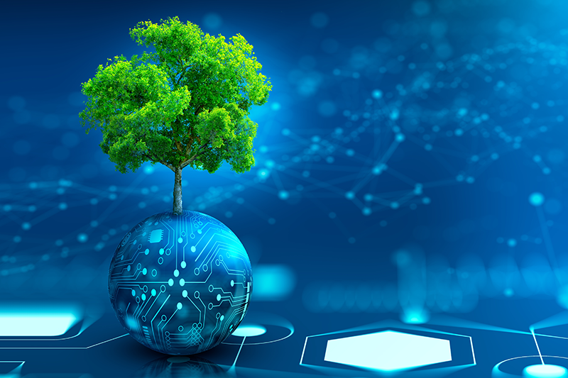 Ψηφιακές και Πράσινες Δεξιότητες